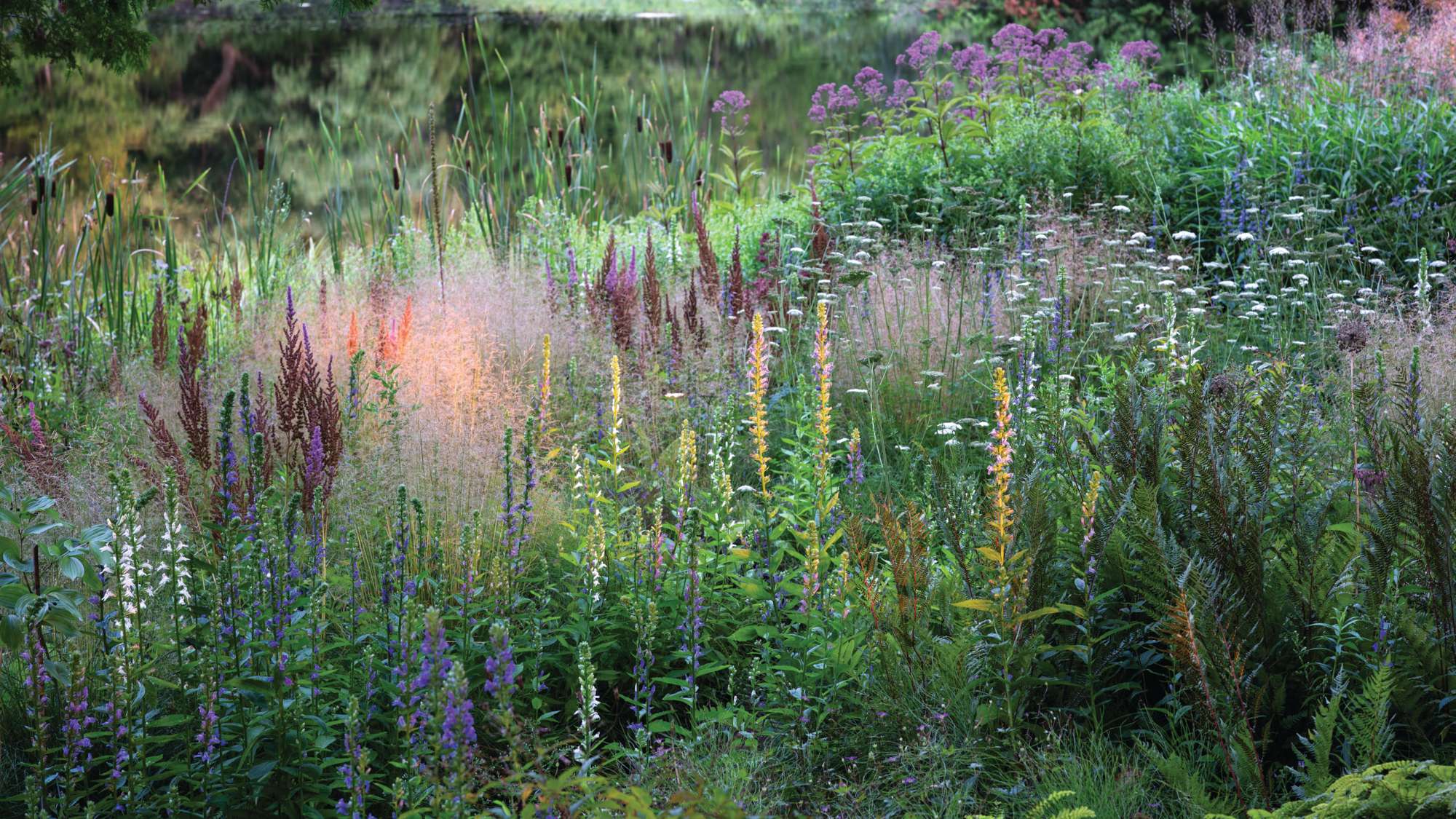 Planting near the pond in Tony Spencer's garden