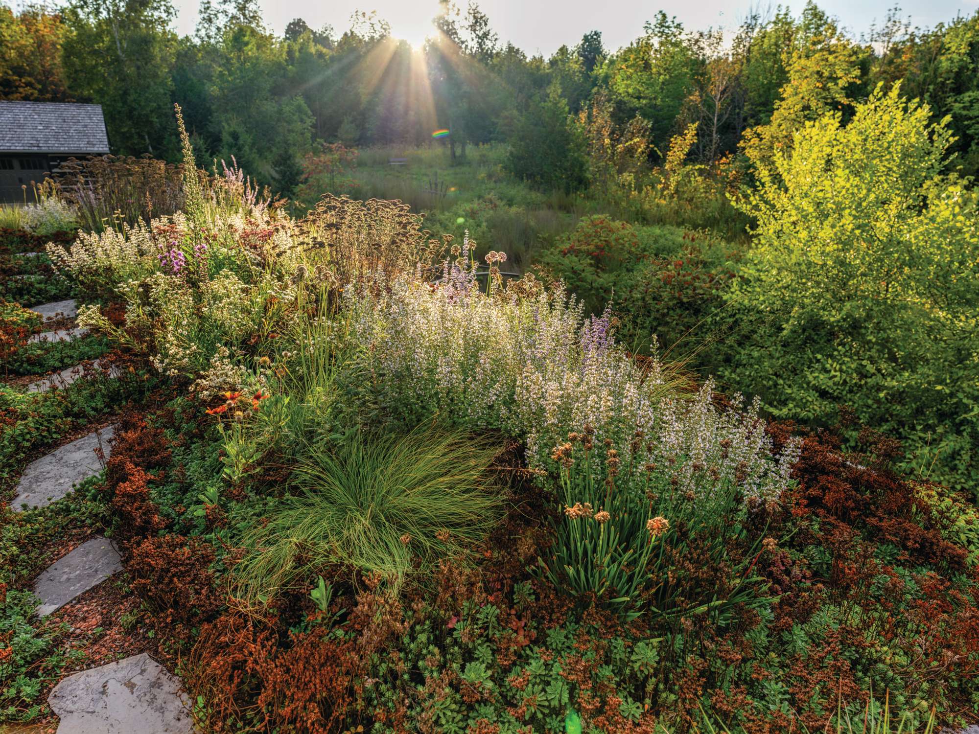 Tony Spencer's green roof in autumn