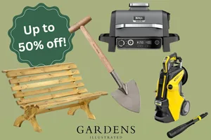 Amazon sale deals Amazon sale deals on a green background