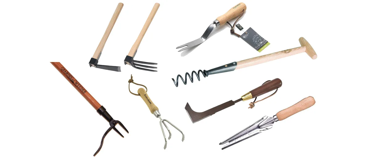 A selection of weeding tools A selection of weeding tools on a white background