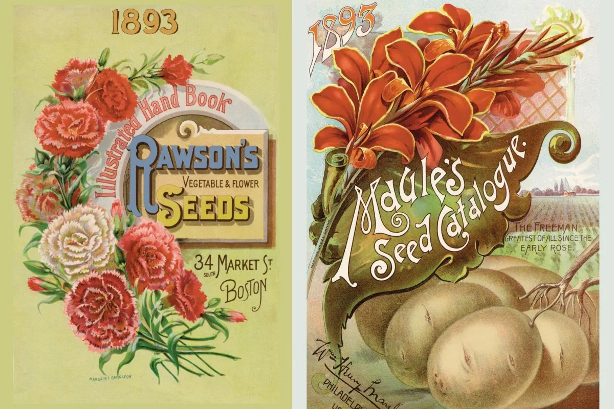 Seed cats Seed catalogues