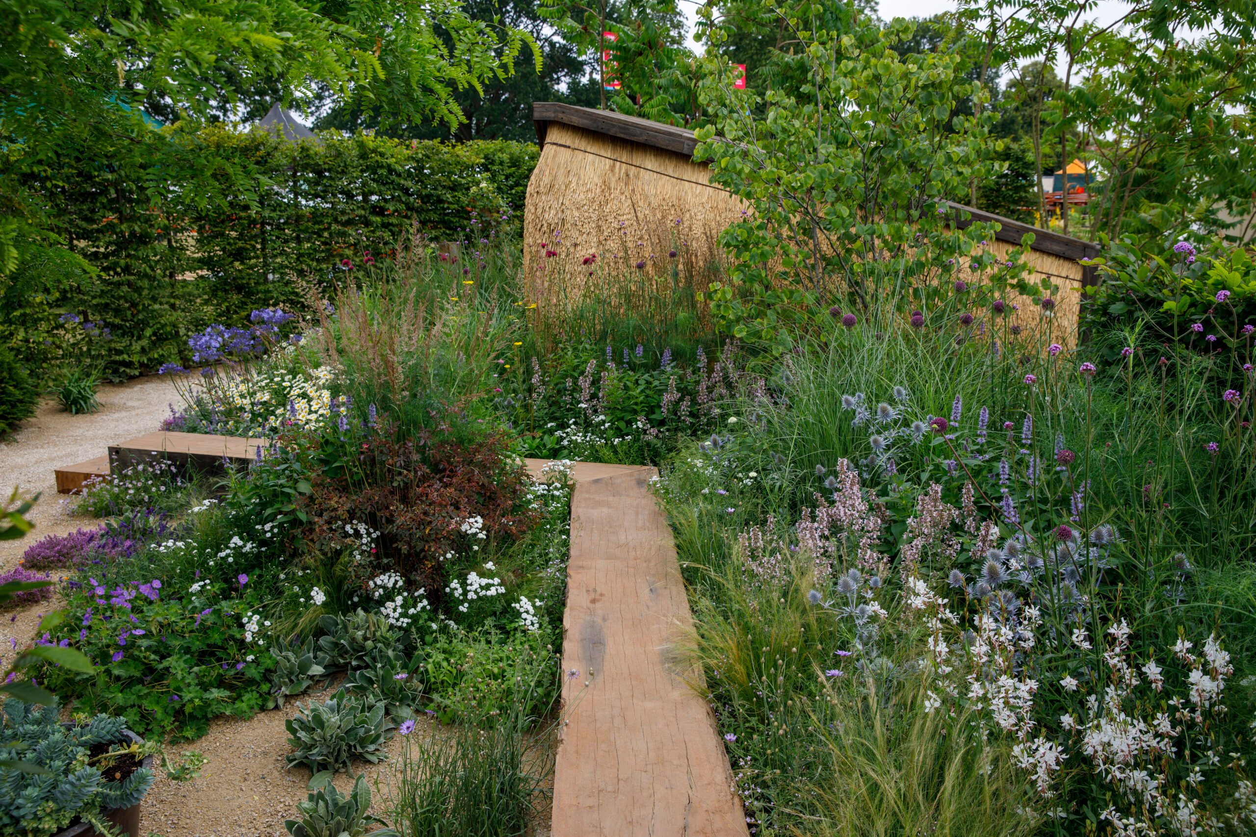 RHS Adventure Within Garden, designed by Freddie Strickland at RHS Hampton Court Palace Garden Festival 2024