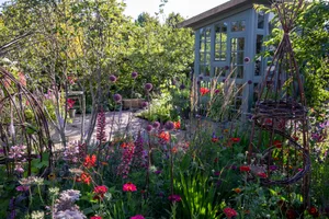 RHS Peat-Free Garden, designed by Arit Anderson at RHS Hampton Court Palace Garden Festival 2024 RHS Peat-Free Garden, designed by Arit Anderson at RHS Hampton Court Palace Garden Festival 2024