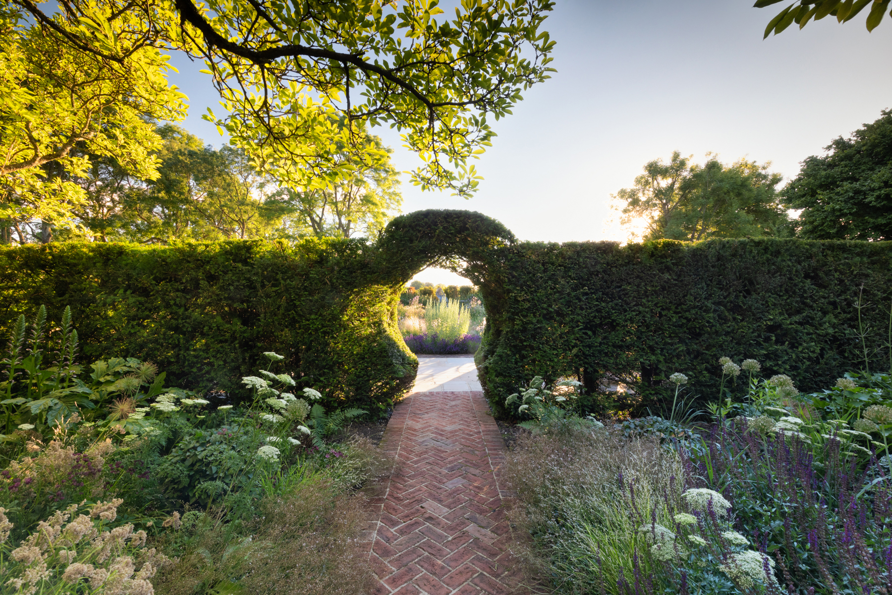 The yew hedge in Sue Townsend's design