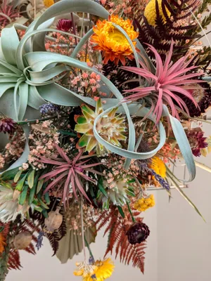 Floral window Helen Clarke, Edie Rose. Floral window Helen Clarke, Edie Rose.