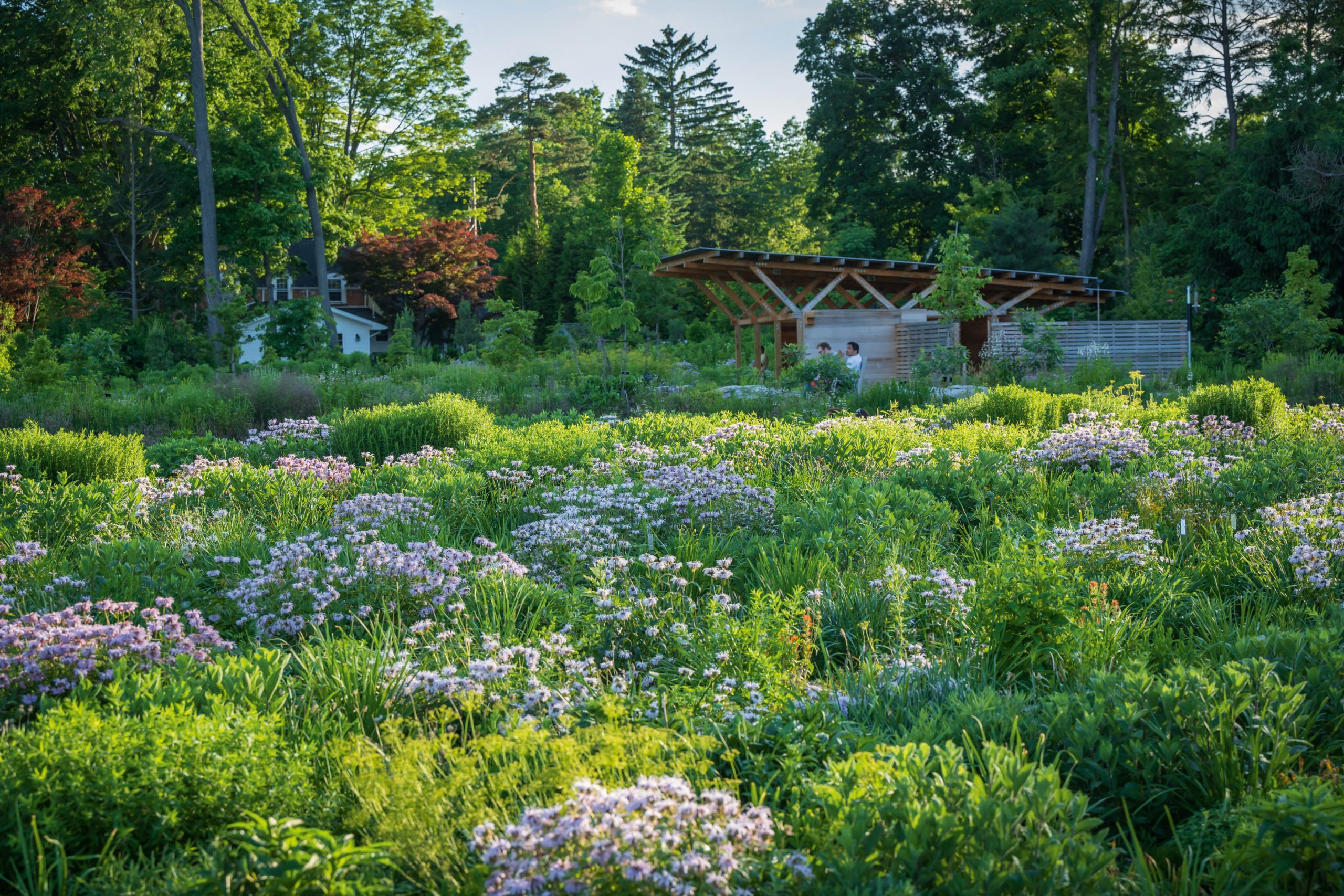 Planting at Penn State Arboretum