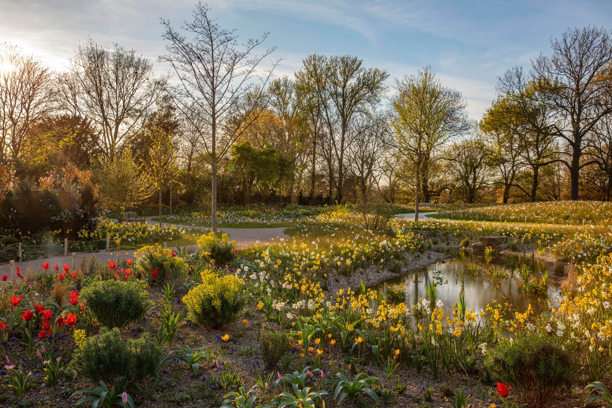 Queen Elizabeth II Garden at Regent’s Park