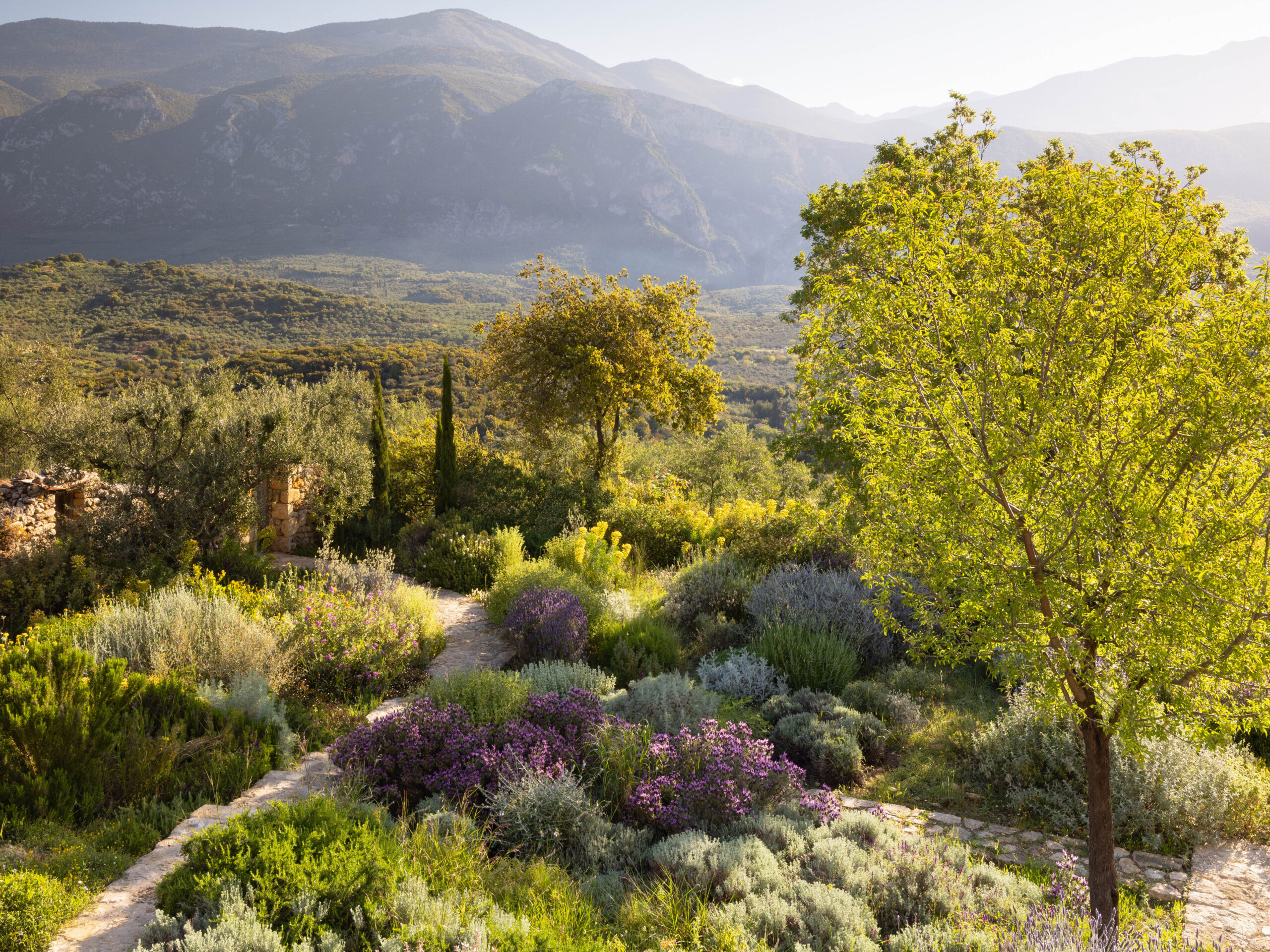 View across garden to mountains at Ilias Estate, Greece, designed by Tania Compton.