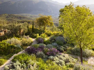 Ilias Holidays garden designed by Tania Compton, Greece. View across garden to mountains at Ilias Estate, Greece, designed by Tania Compton.