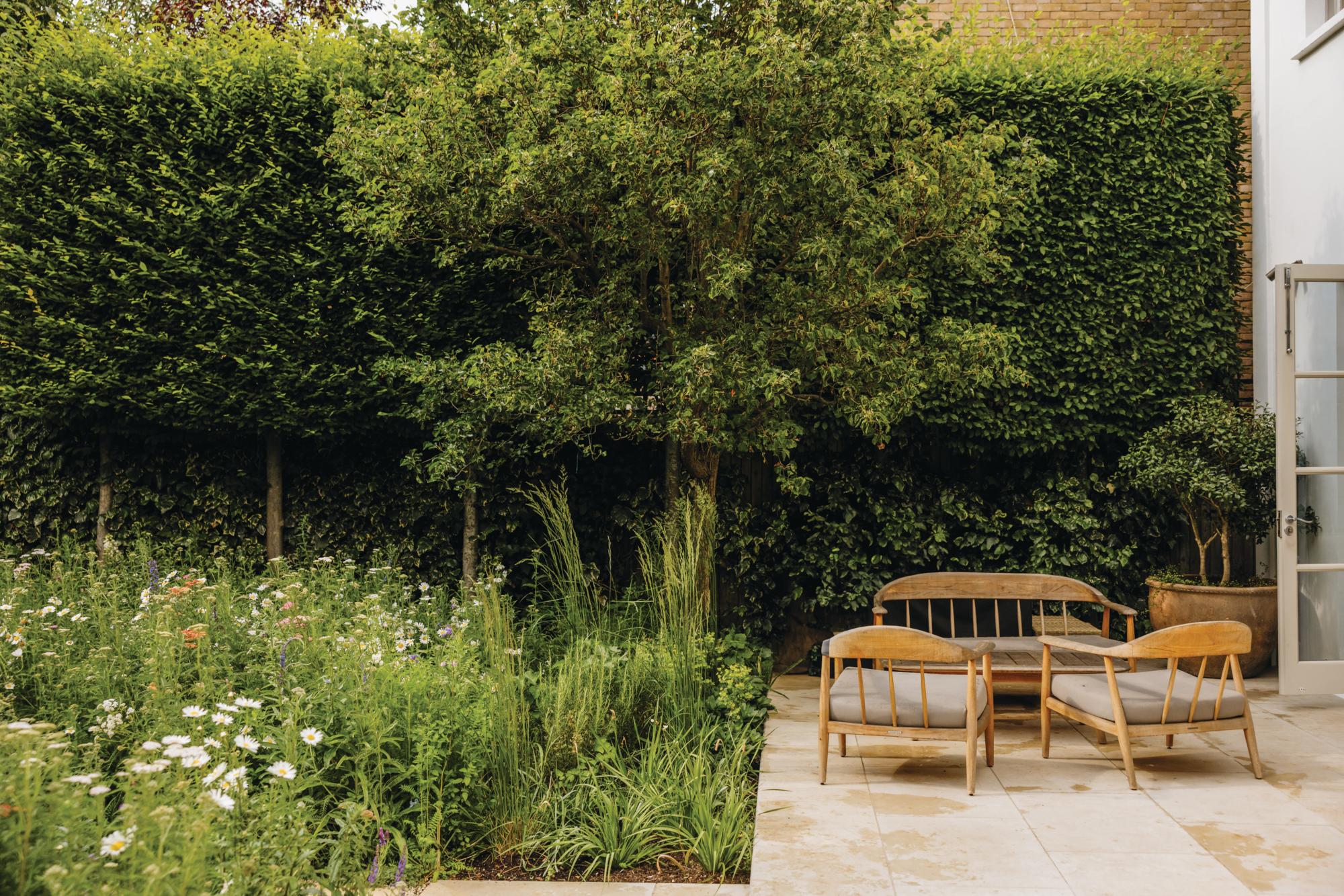 Garden designed by Alexandra Noble in west London with Sauna