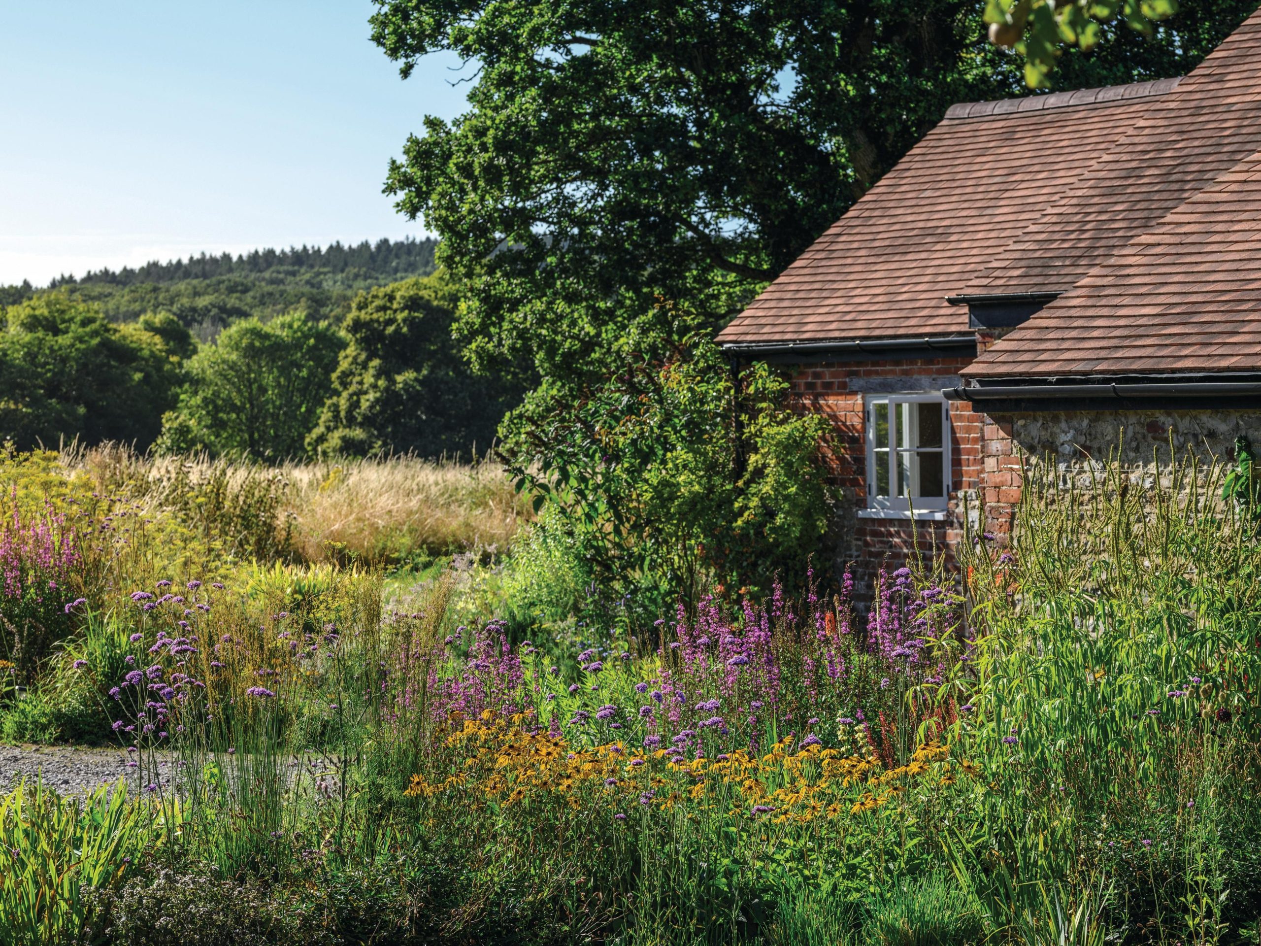 House in countryside