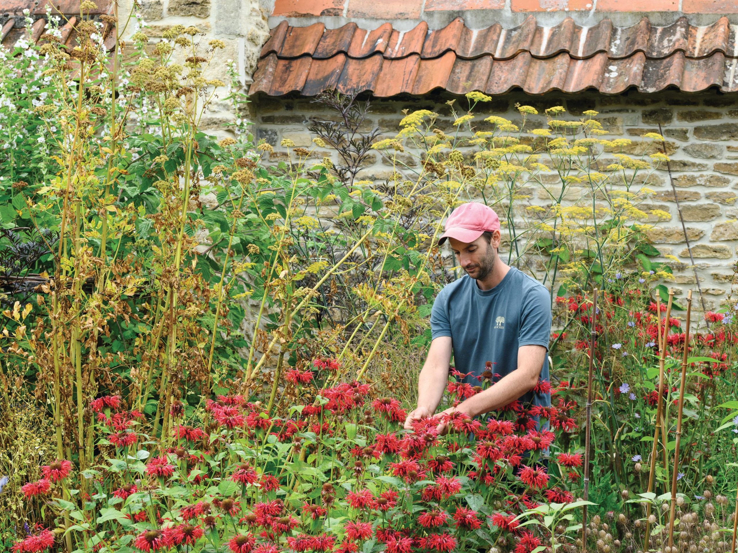 Man gardening