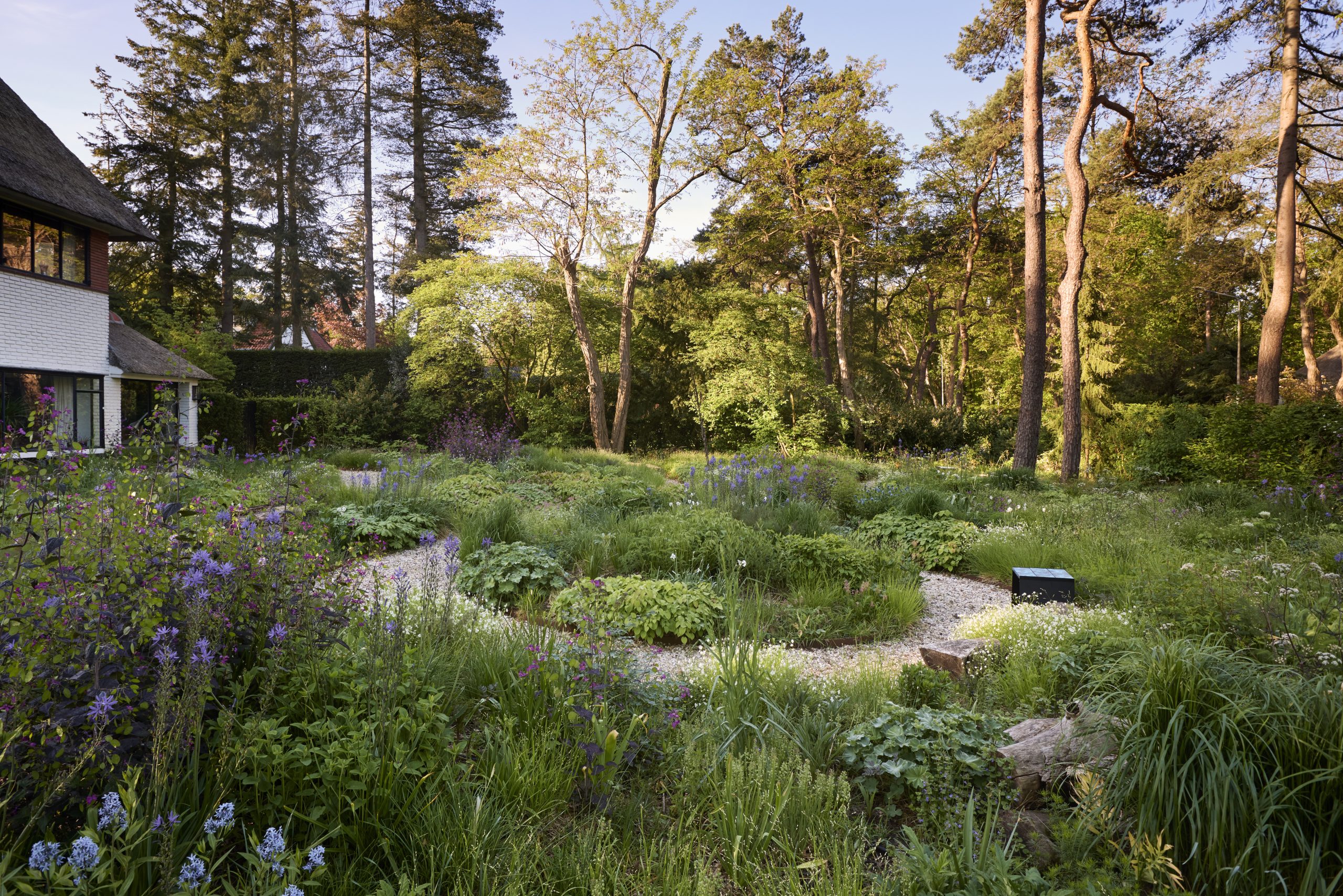 Garden in spring