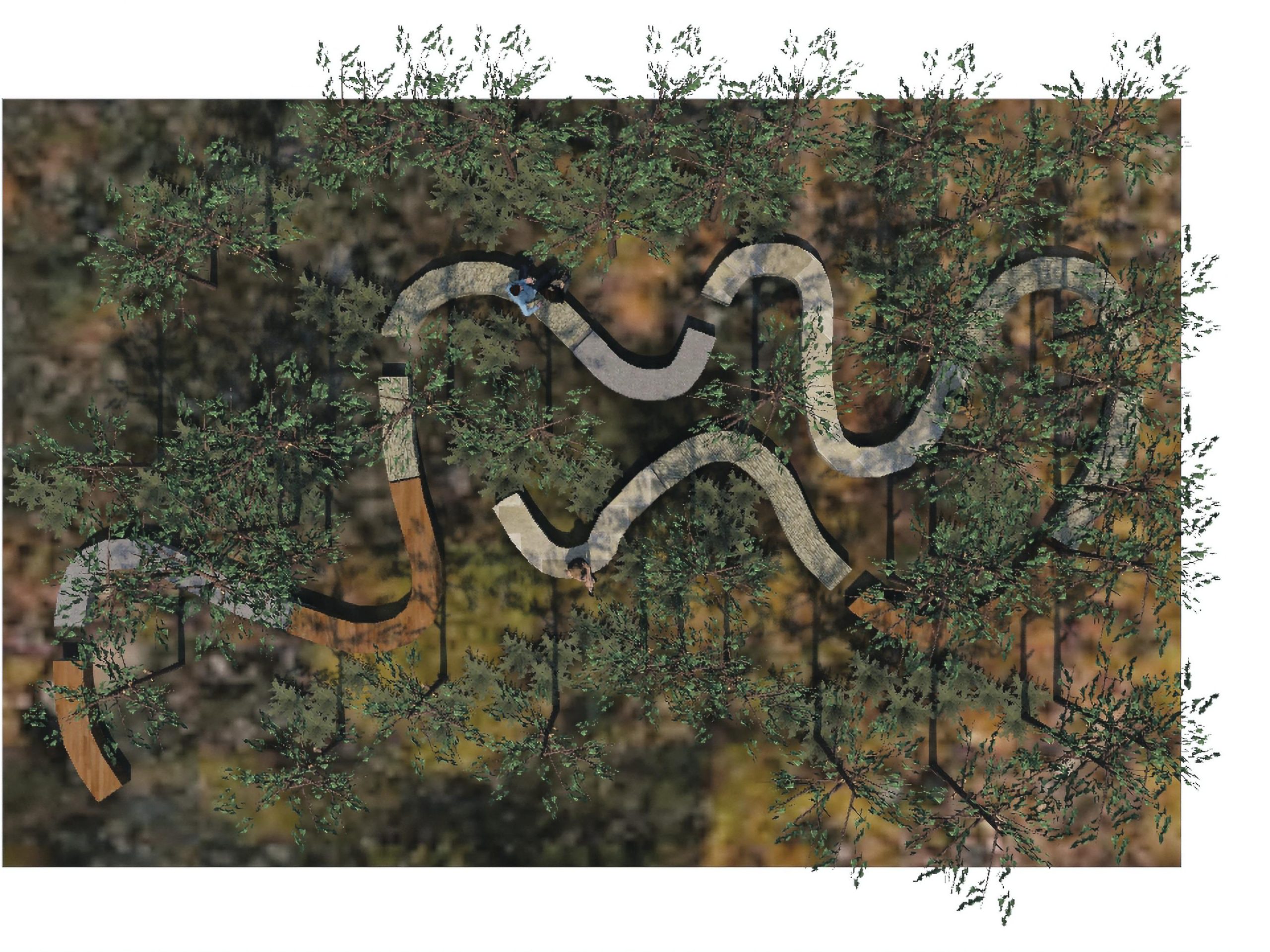 Planting plan