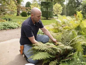 Tim Stretton propagates ferns