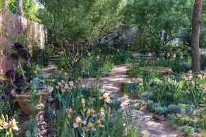 Sarah Price's Nurture Landscapes garden at Chelsea 2023 Sarah Price's Nurture Landscapes garden at Chelsea 2023