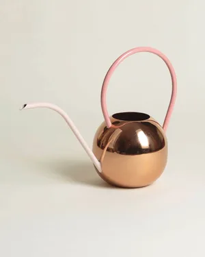 Watering can for house plants Watering can for house plants