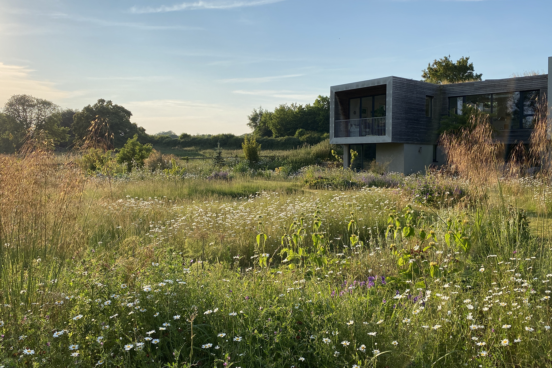 A Norfolk garden designed by Cargill Sykes