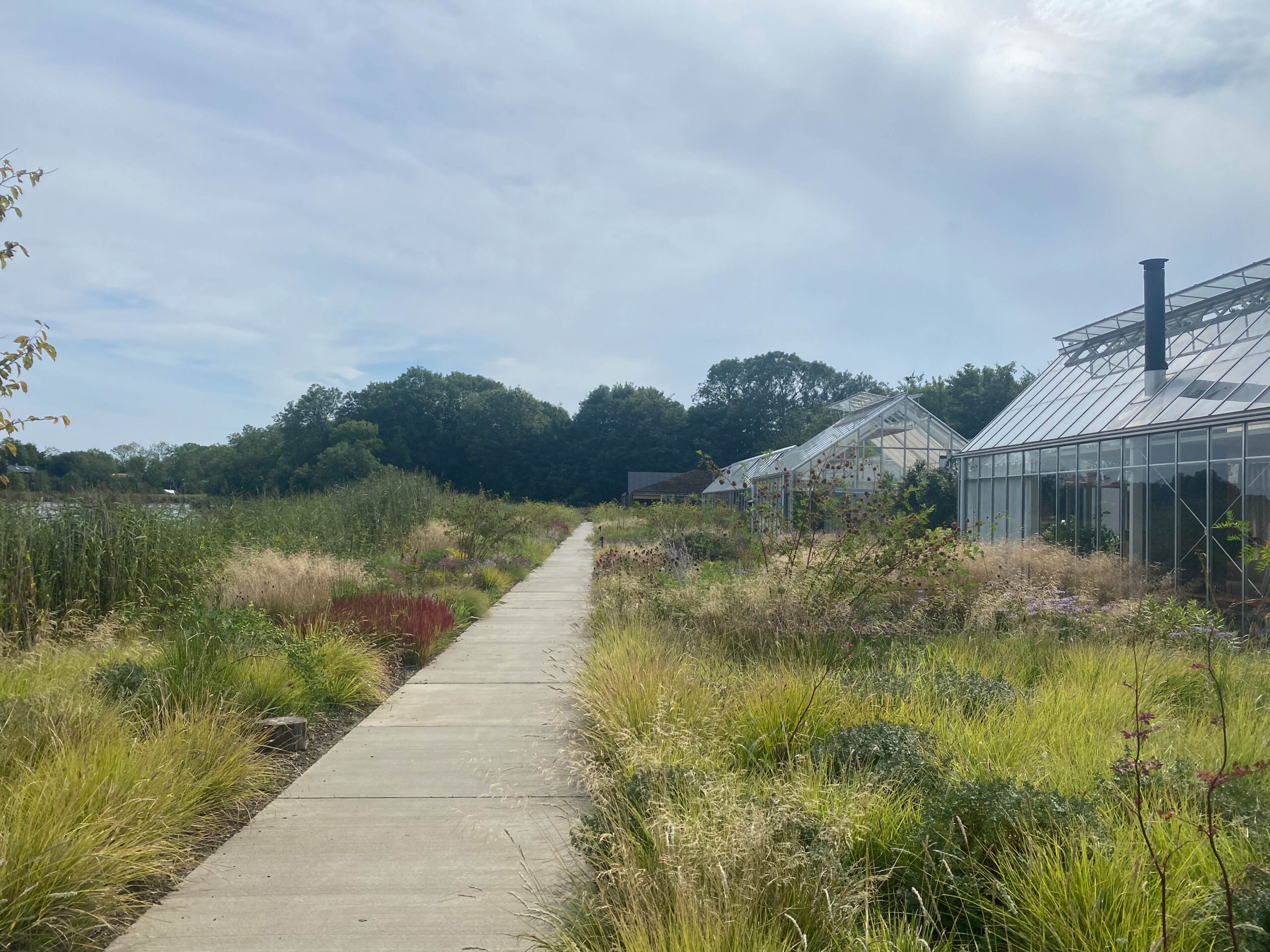 Noma restaurant garden in Copenhagen