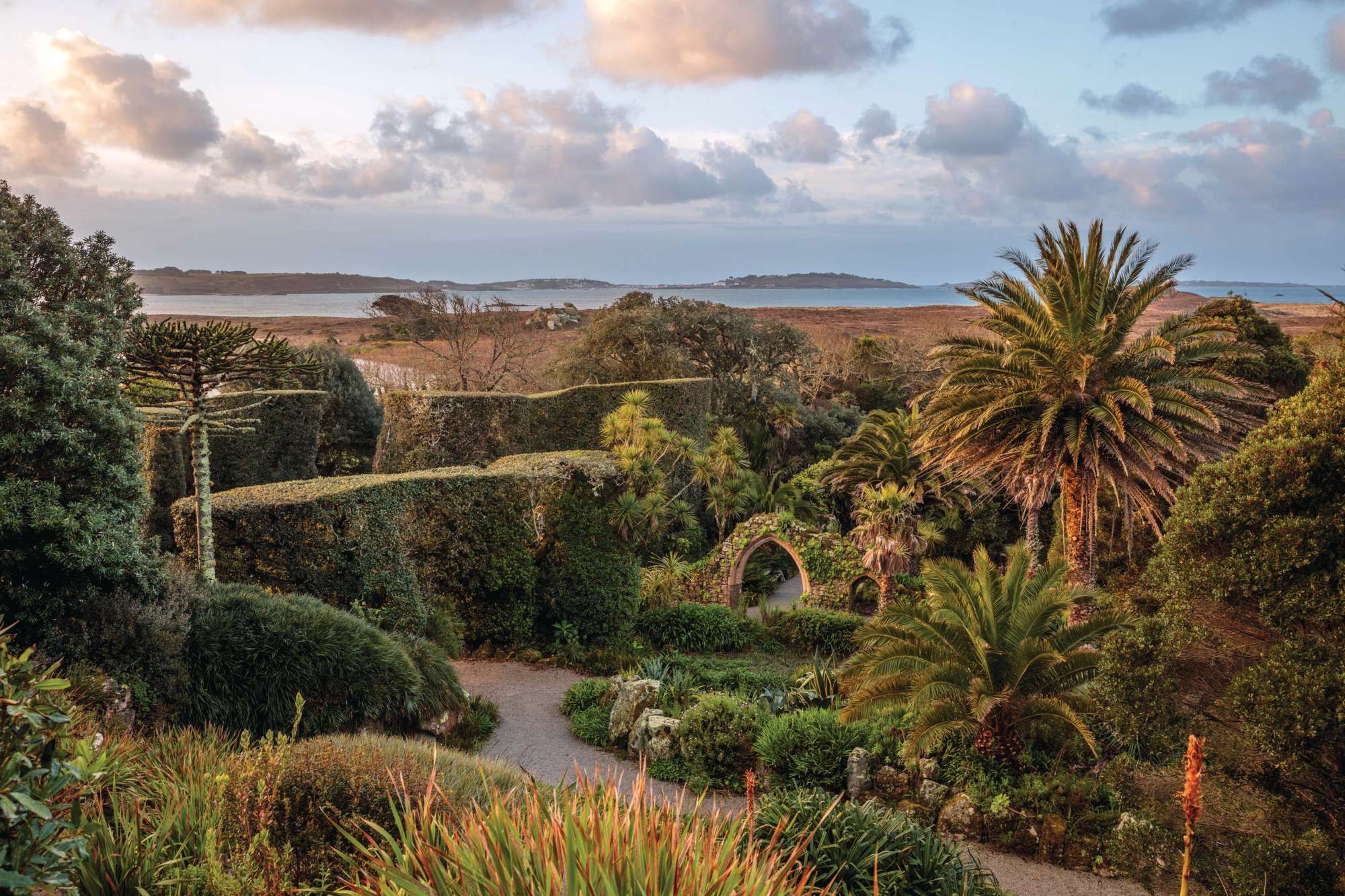 Garden looking out to sea