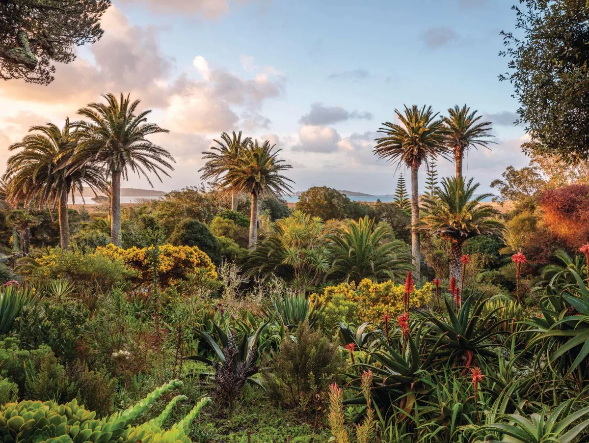 Tresco Abbey Gardens on the Isles of Scilly View over Tresco Abbey Gardens