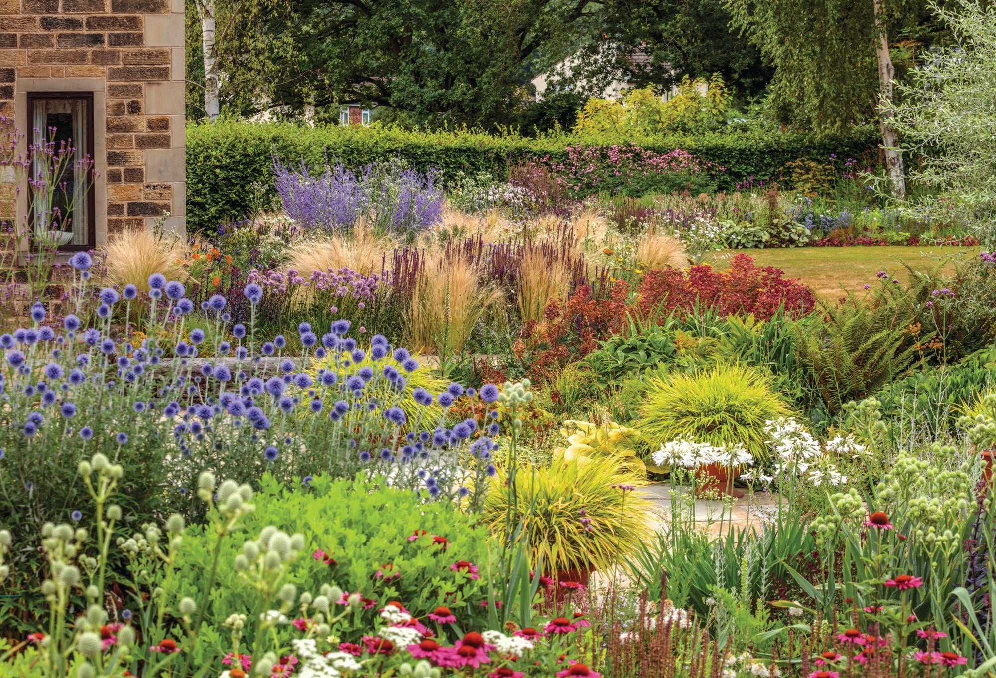 A garden with blue and pink plants and grasses