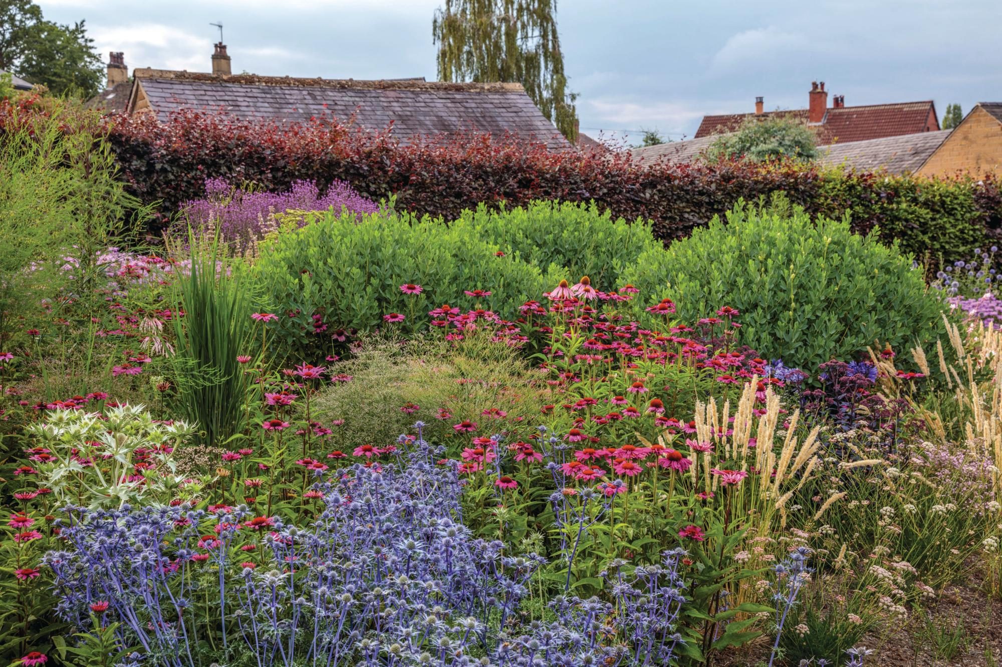 A garden border with pink and blue plants