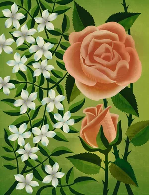 Nigel Slater's roses Nigel Slater's roses