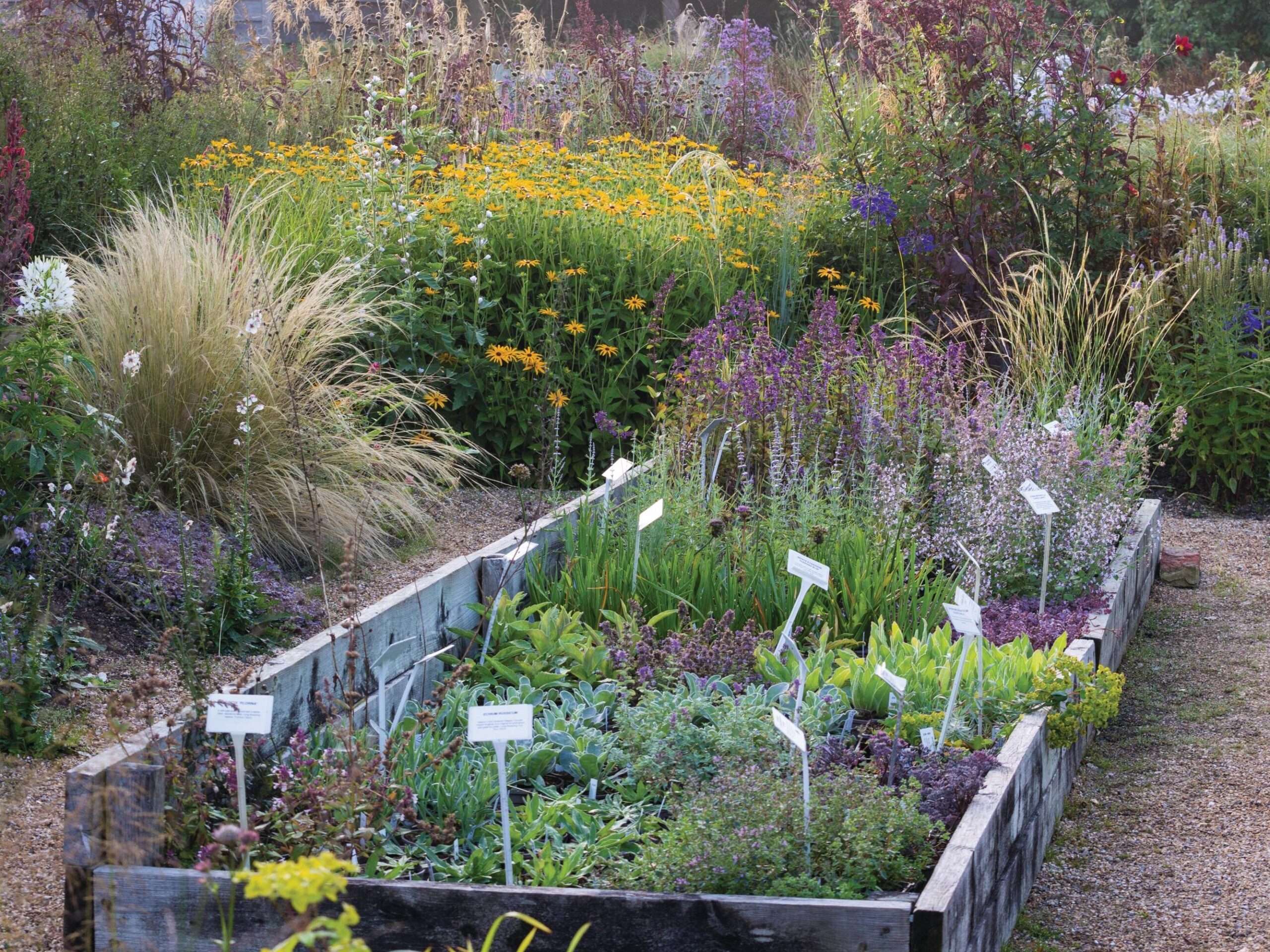 Marchants’ nursery sales beds