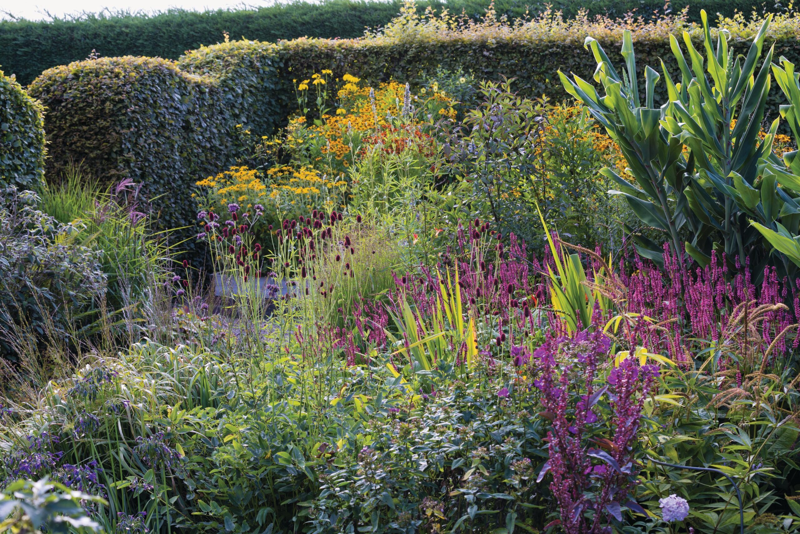A border at Marchants Hardy Plants