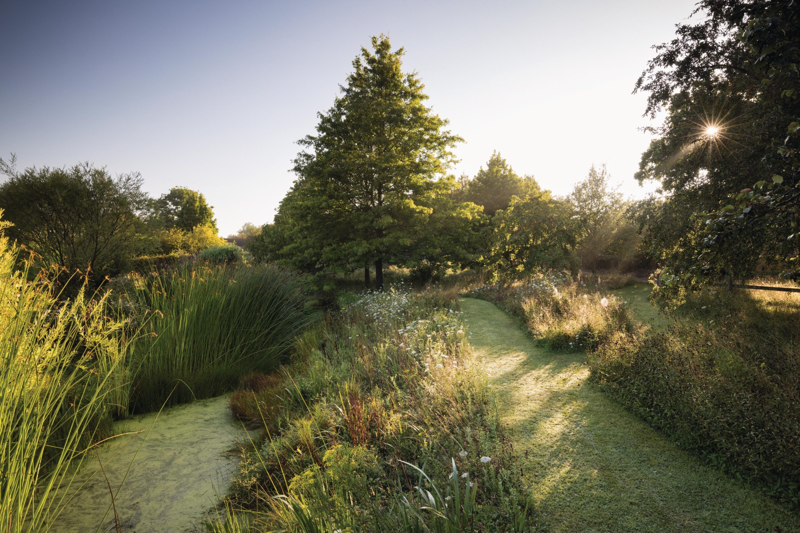 Marchants Hardy Plants