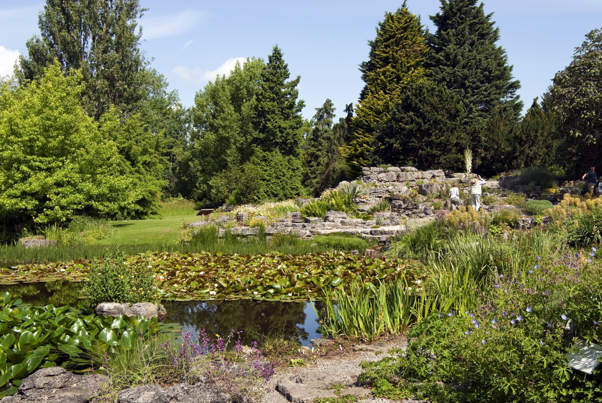 Limestone Rock Garden at the Cambridge University Botanic Garden Limestone Rock Garden at the Cambridge University Botanic Garden