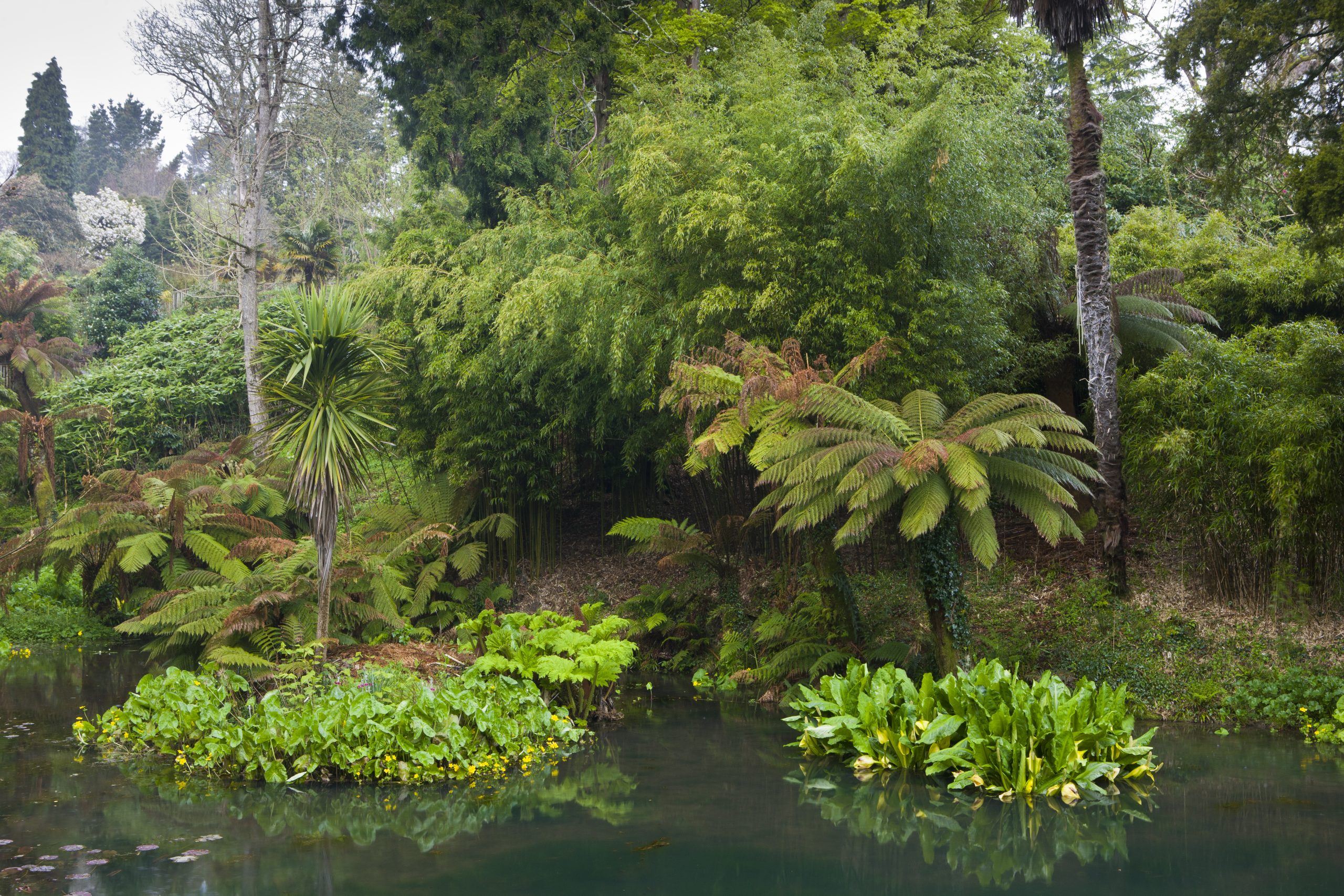 Tropical Garden at the Lost Gardens of Heligan