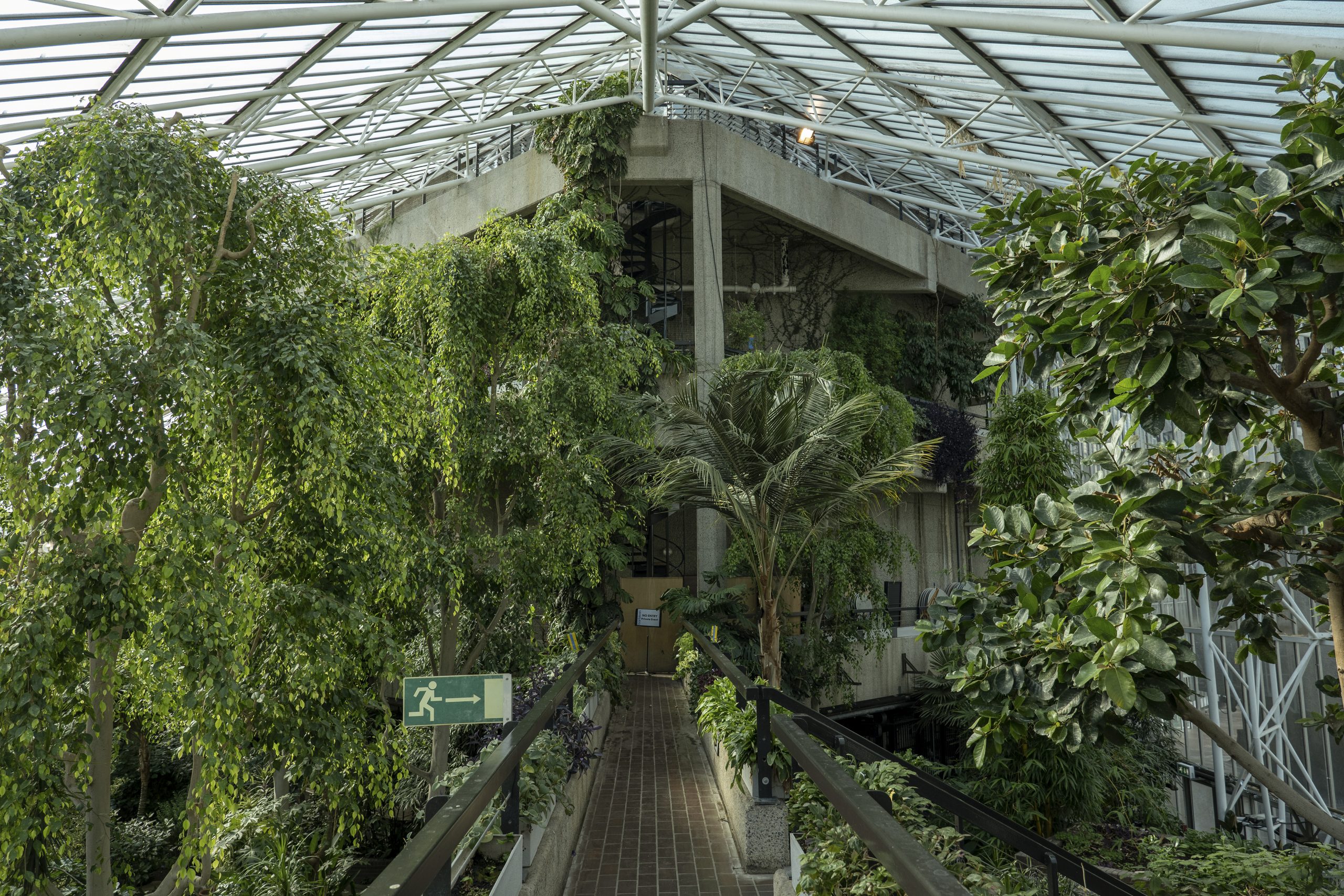 Inside the Barbican Centre conservatory Inside the Barbican Centre conservatory