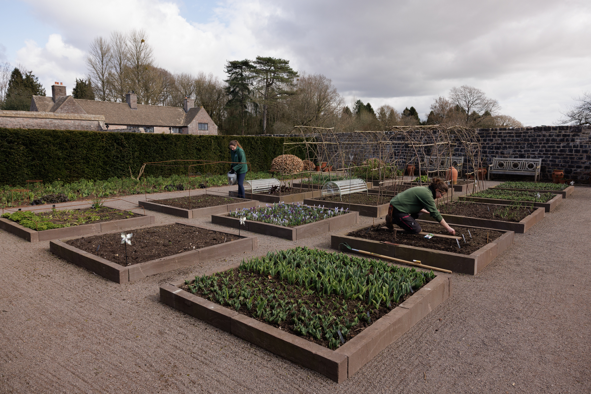 Gardeners sowing vegetables at Mounton House