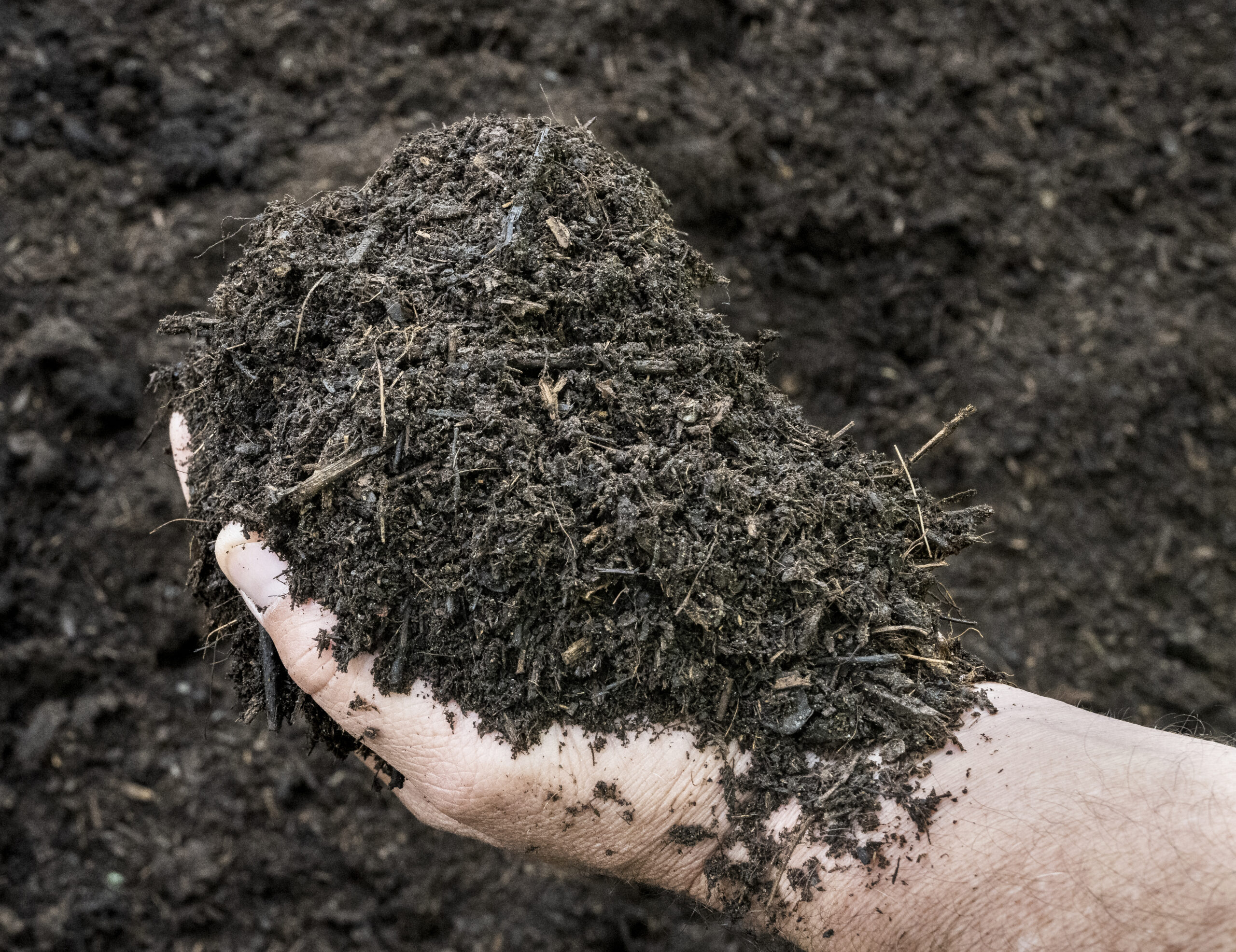 Compost