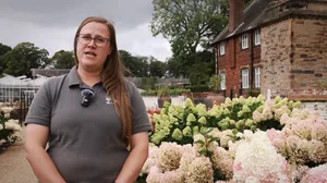 RHS's Hannah Lomas on how to prune hydrangea paniculata RHS's Hannah Lomas on how to prune hydrangea paniculata