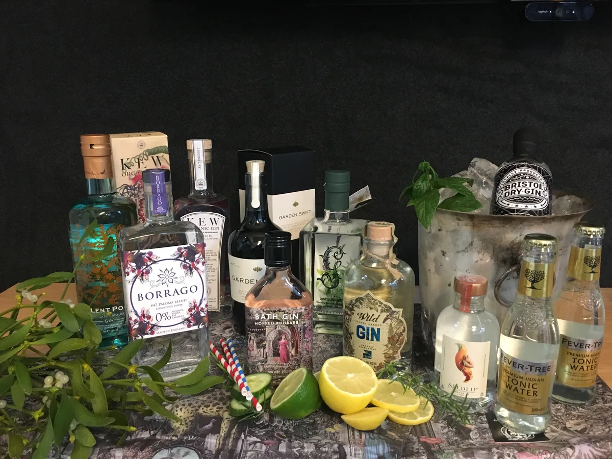 Best gin with botanicals Best gin with botanicals