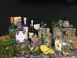 Best gin with botanicals Best gin with botanicals