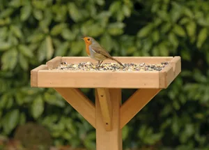 Robin on a bird table Robin on a bird table