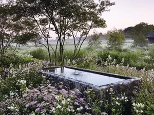 JI_210619_YelfordManor_003_preview A water trough amid planting at Yelford Manor, designed by Katie Guillebaud