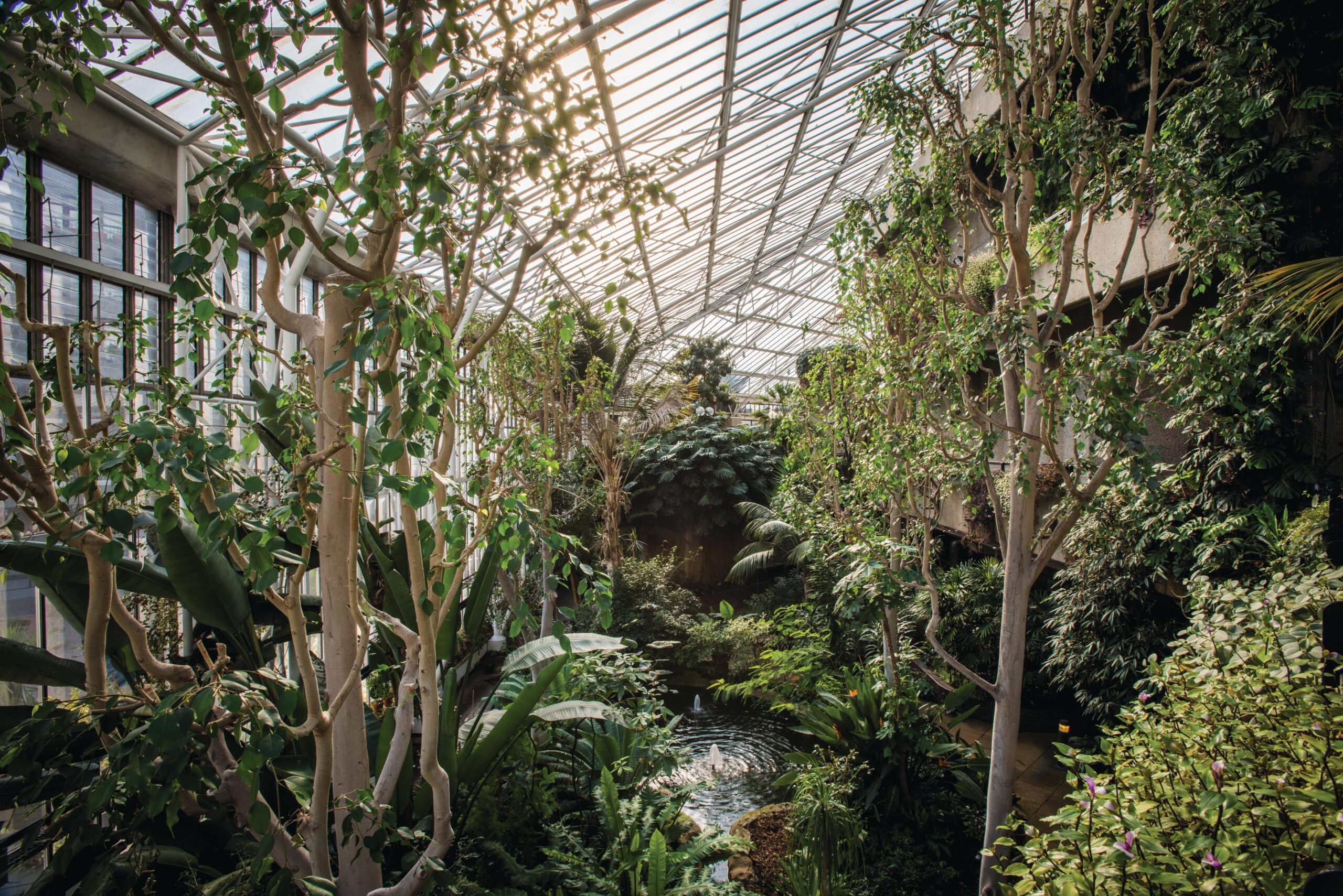 Barbican Centre conservatory