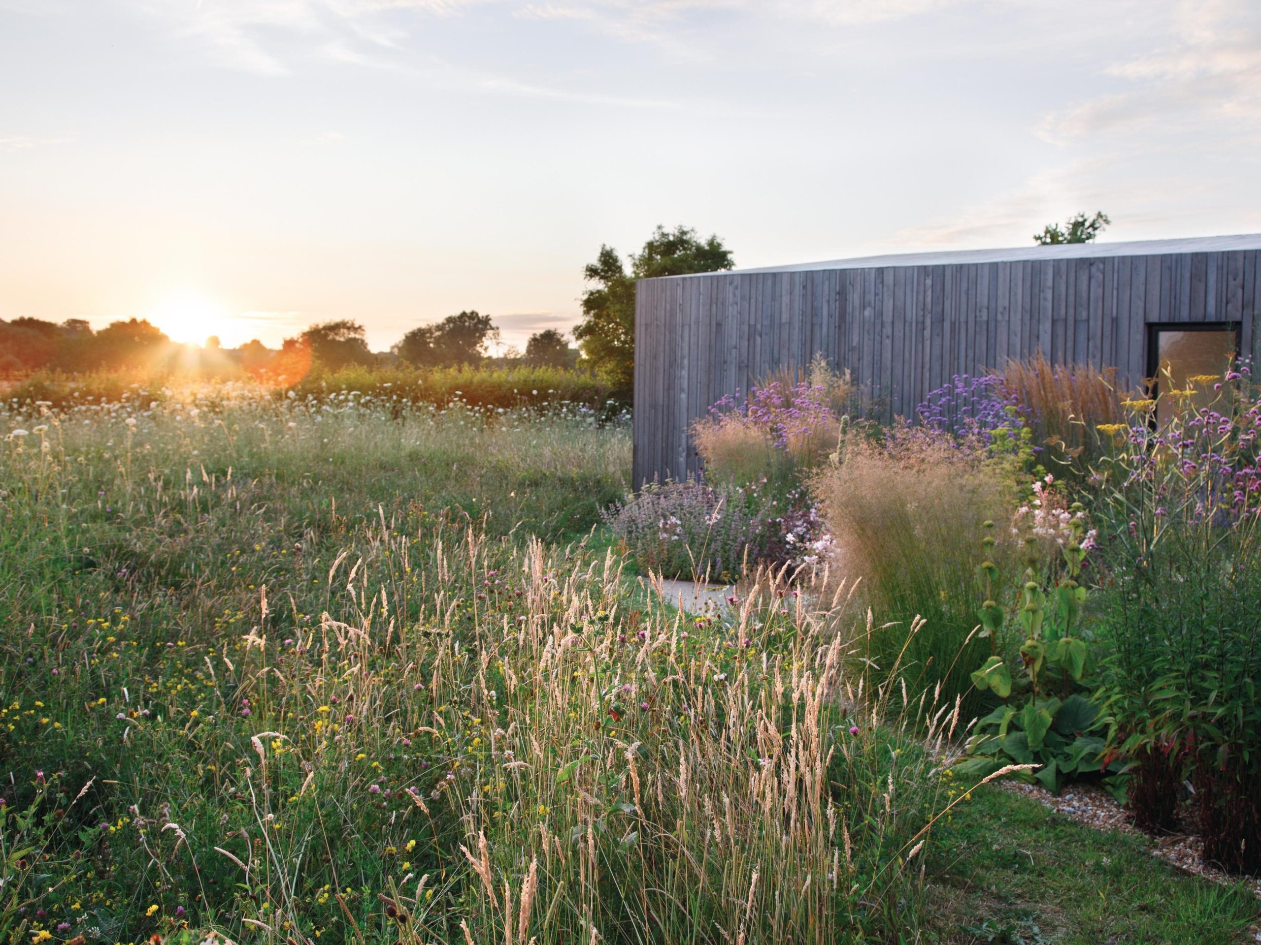 Meadow garden and house