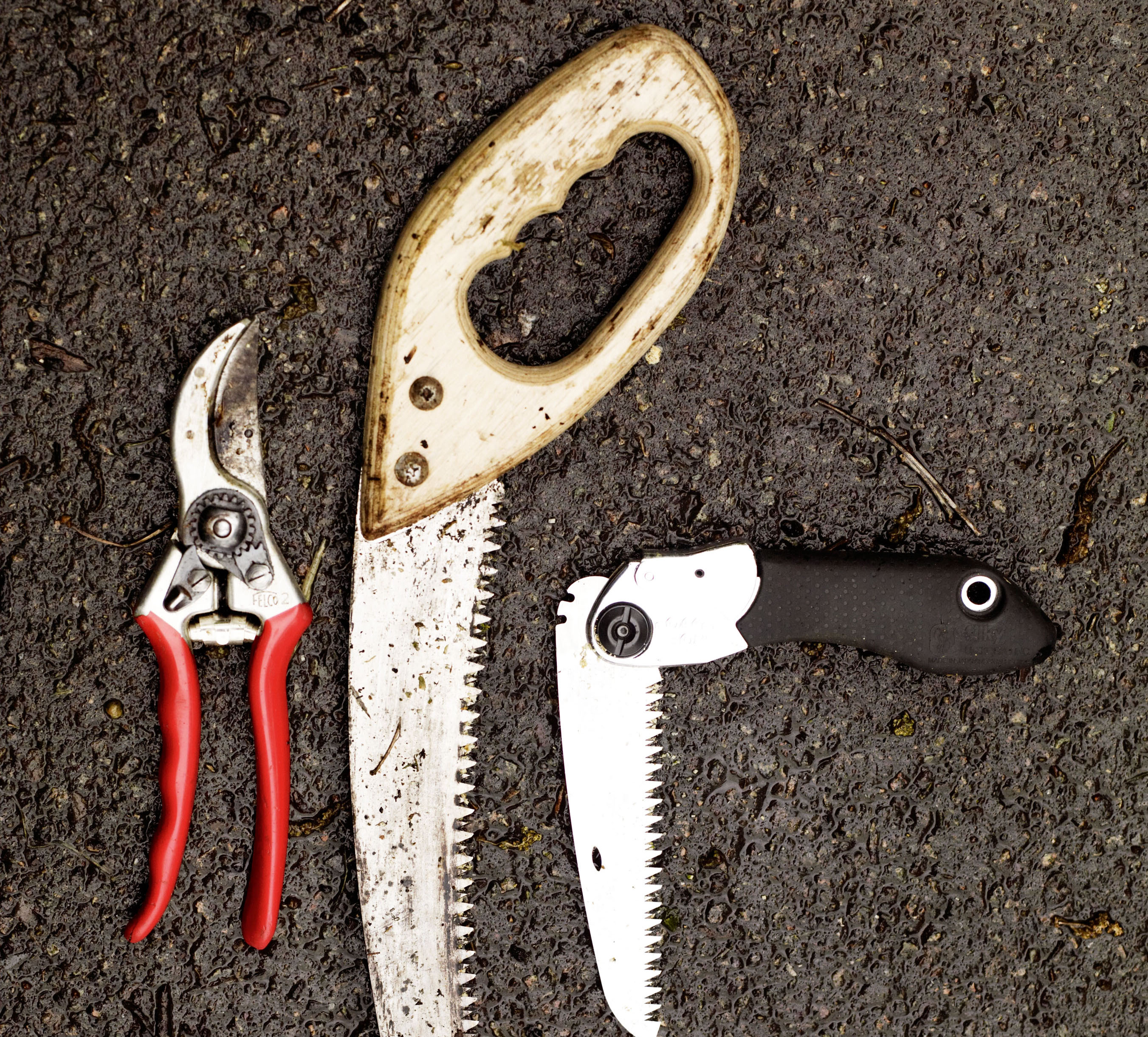 Coppicing tool kit