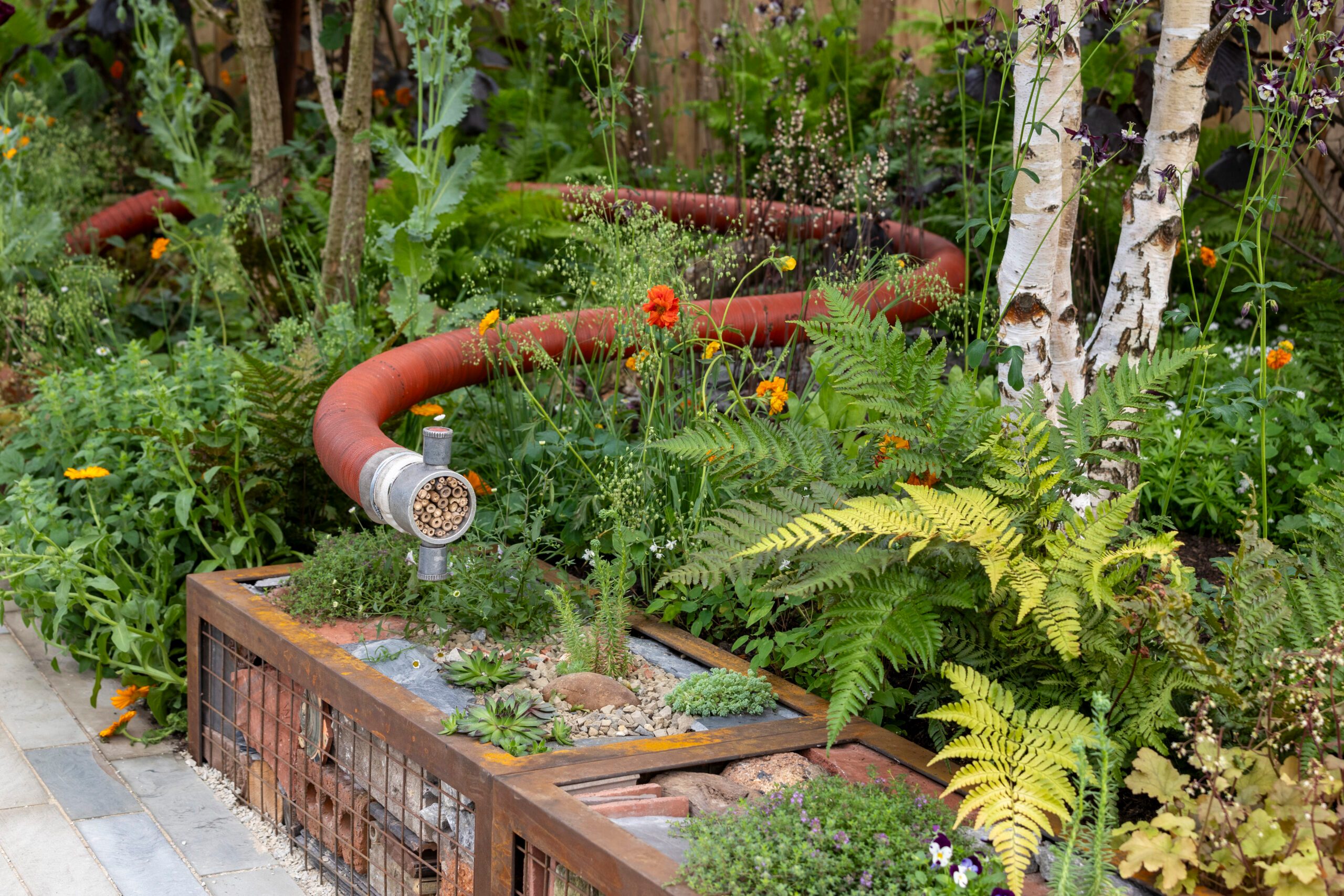 The Pulp Friction – Growing Skills Garden at RHS Chelsea Flower Show 2024. Designed by Will Dutch and Tin-Tin Azure-Marxen. Sponsored by Project Giving Back. All About Plants.