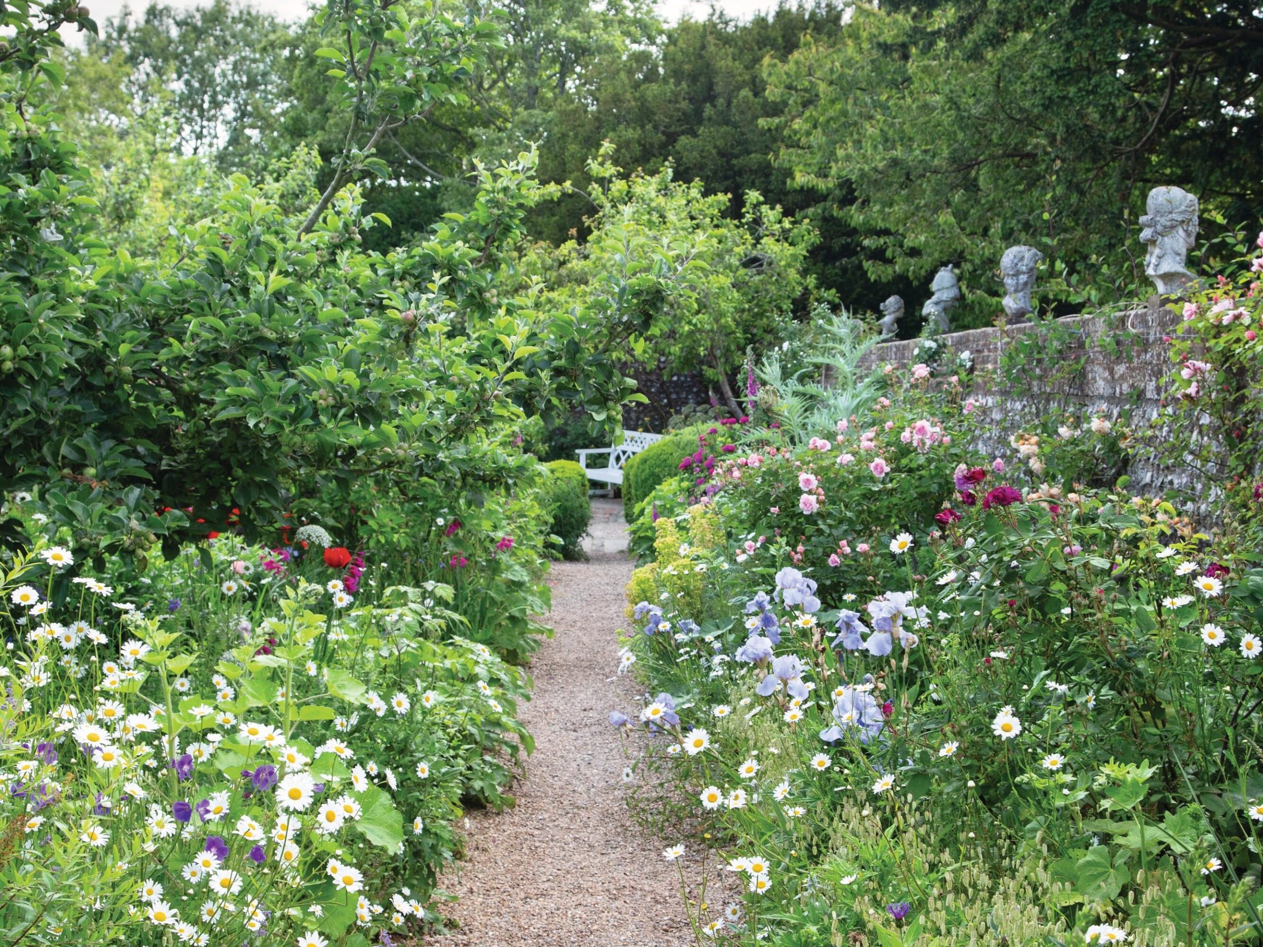 Cottage garden in summmer