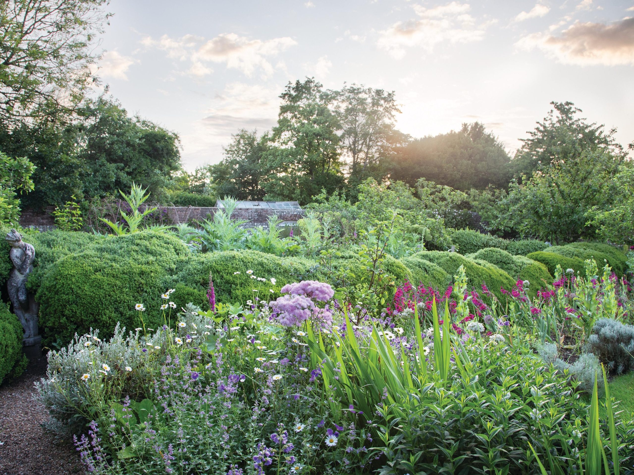 Cottage garden in summer