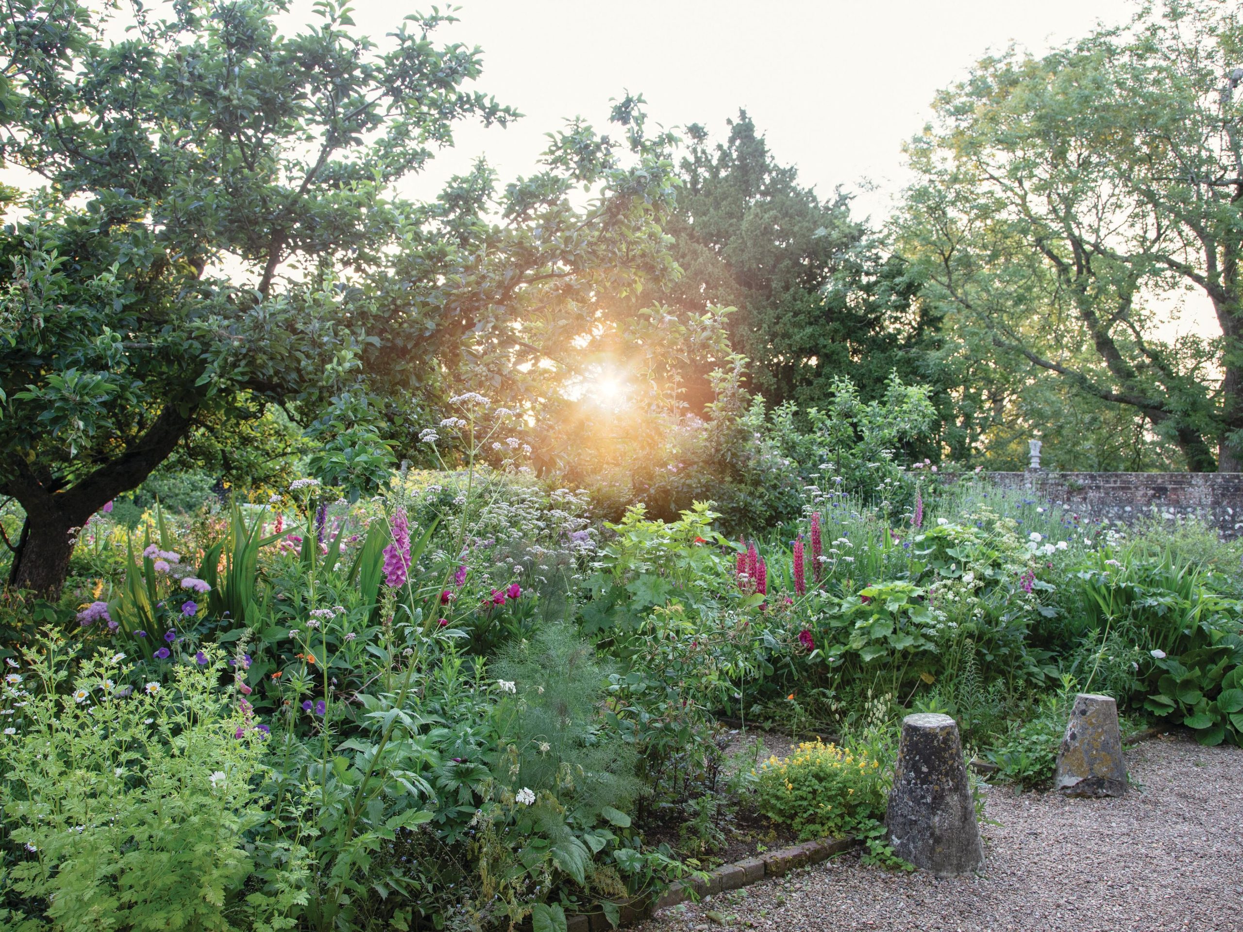 Cottage garden in bloom