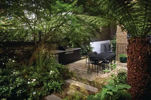 A shady overlooked small garden in London designed by Harry Holding A shady overlooked small garden in London designed by Harry Holding