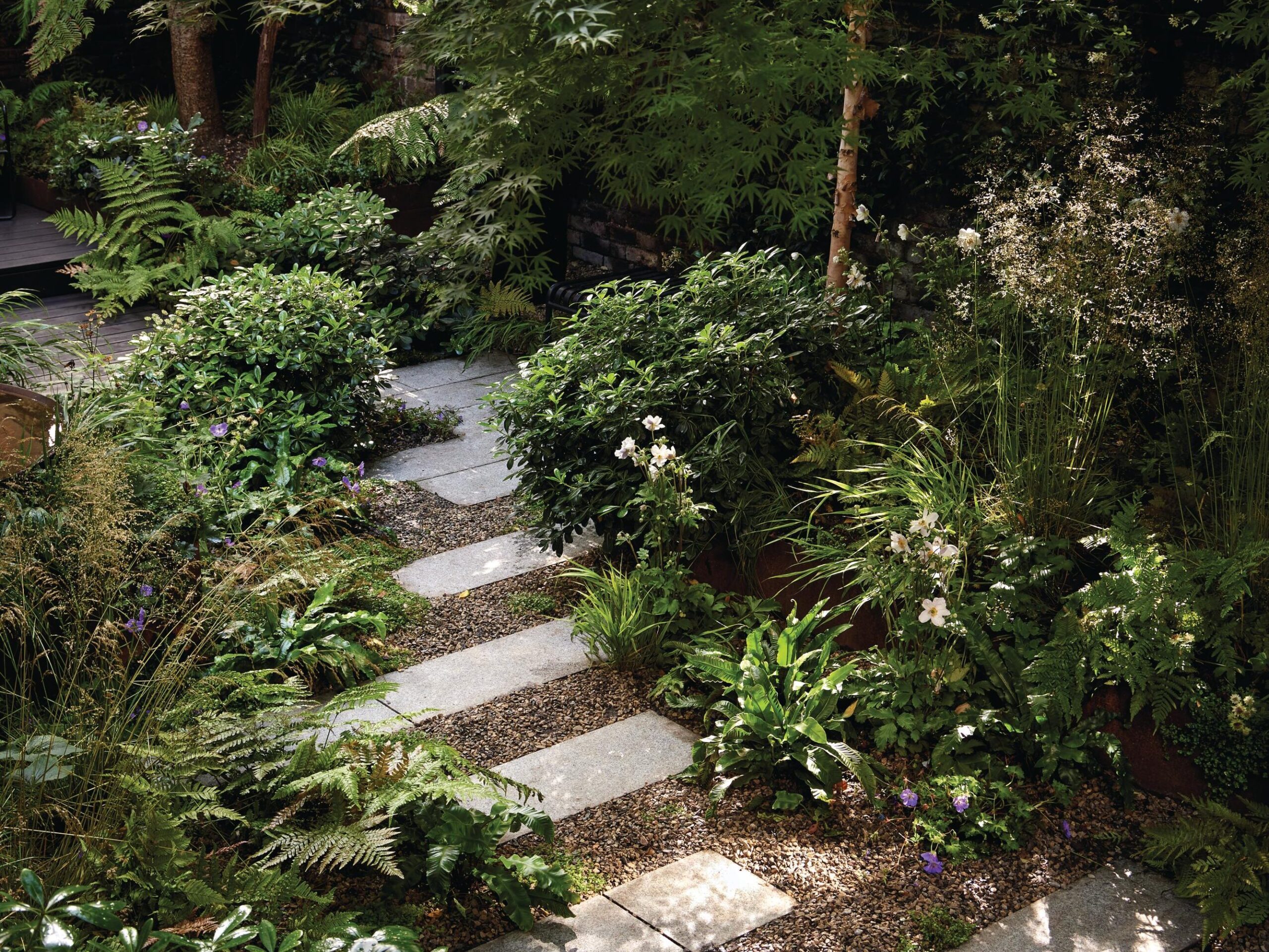 Garden paving surrounded by plants